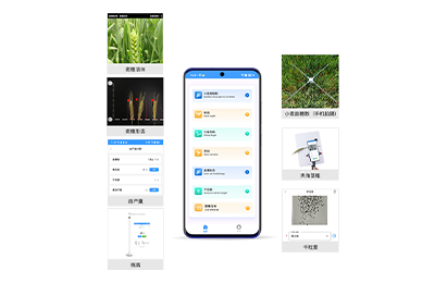 通辽市小麦表型检测仪IN-XM04