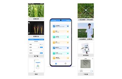 通辽市小麦表型测量仪IN-XM05